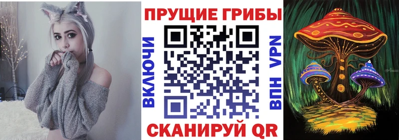 Галлюциногенные грибы Psilocybine cubensis  наркота  omg ссылки  Новосиль 